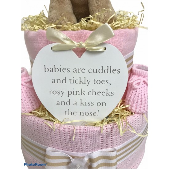 Puppy Dog Two Tier Nappy Cake - Blue
